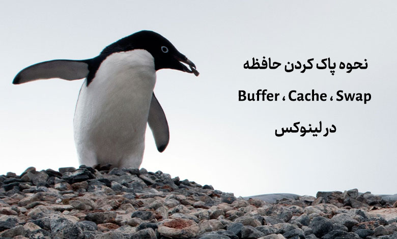 نحوه پاک کردن حافظه Buffer ، Cache و Swap در لینوکس